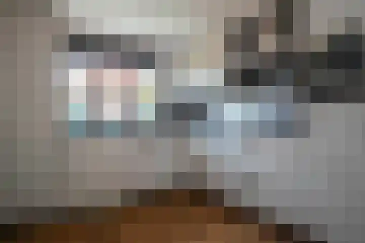 Landauer 24 Hasselt thumbnail 20