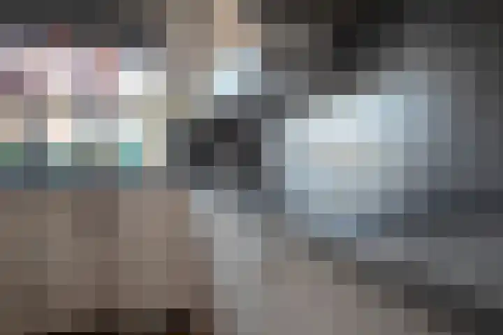 Landauer 24 Hasselt thumbnail 21