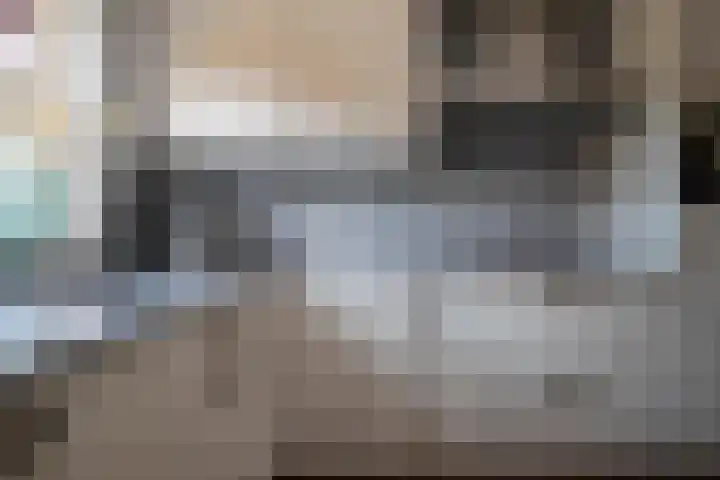 Landauer 24 Hasselt thumbnail 22