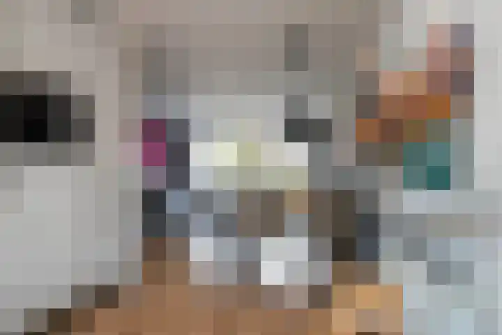 Landauer 24 Hasselt thumbnail 23