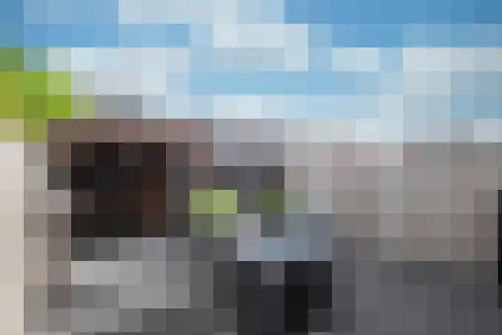 Landauer 24 Hasselt thumbnail 24