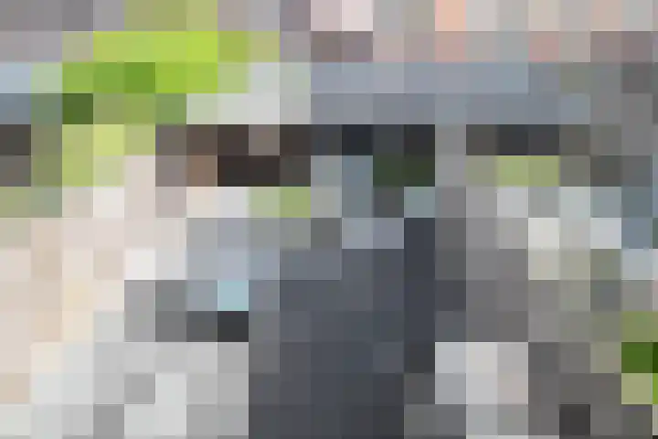 Landauer 24 Hasselt thumbnail 34