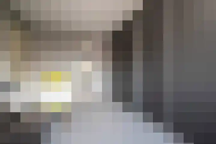 Landauer 24 Hasselt thumbnail 39