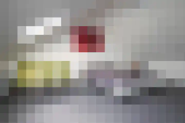 Landauer 24 Hasselt thumbnail 43