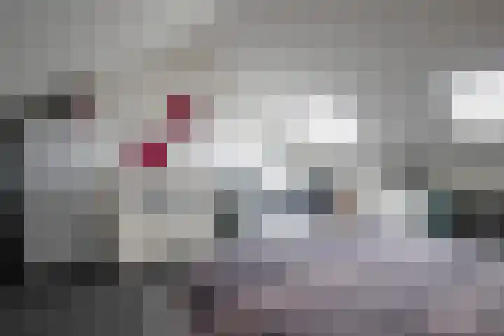 Landauer 24 Hasselt thumbnail 44