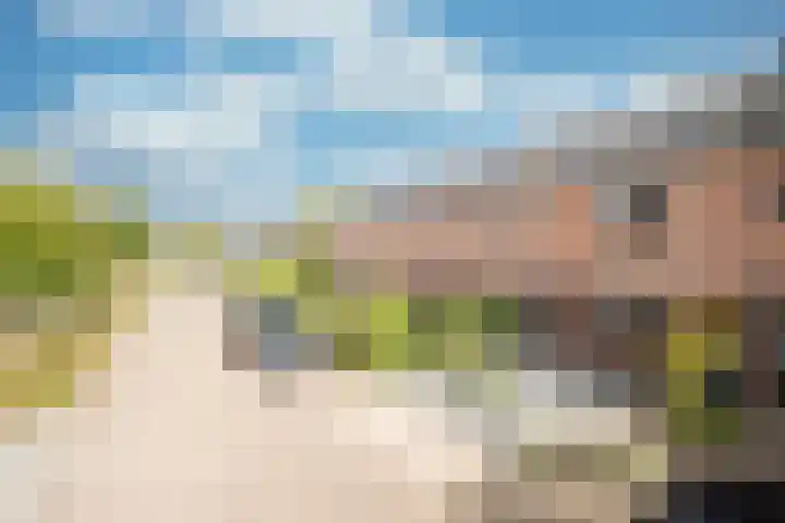 Landauer 24 Hasselt thumbnail 8