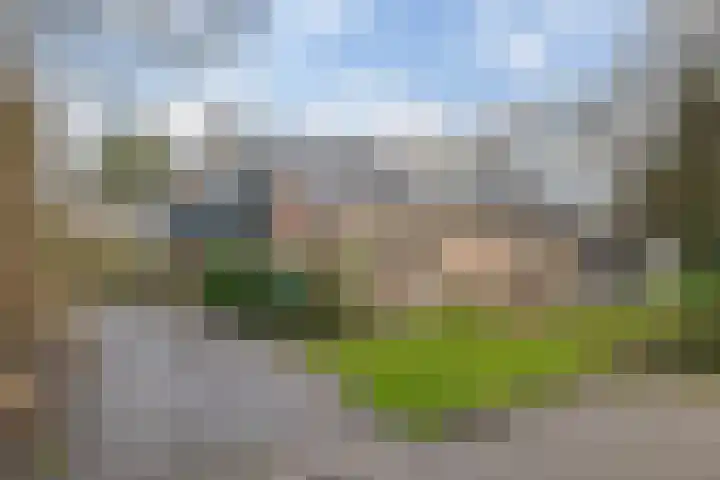 Landauerlaan 10 Leek