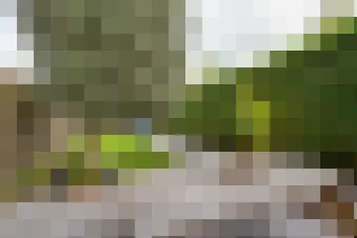 Landauerstraat 38 Purmerend thumbnail 30