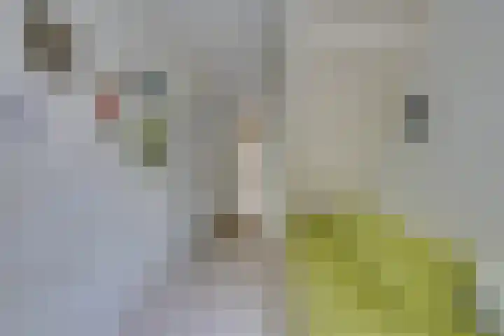Landauerstraat 38 Purmerend thumbnail 43
