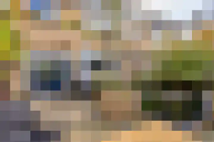 Team foto van Landelijk-wonen.nl - Deurningen