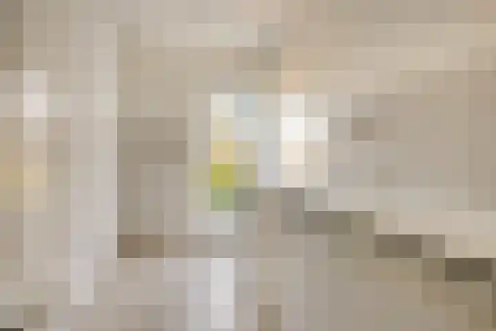 Landeweel 8 Wouw thumbnail 18