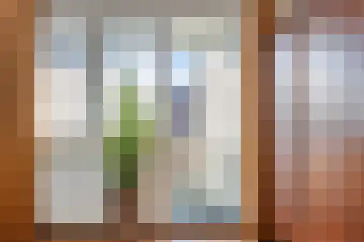 Landeweel 8 Wouw thumbnail 34