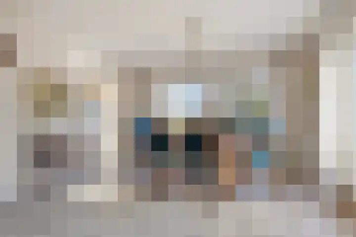 Landeweel 8 Wouw thumbnail 4