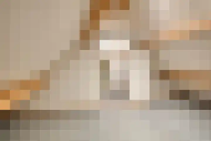 Landeweel 8 Wouw thumbnail 46