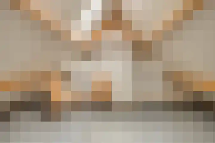 Landeweel 8 Wouw thumbnail 47
