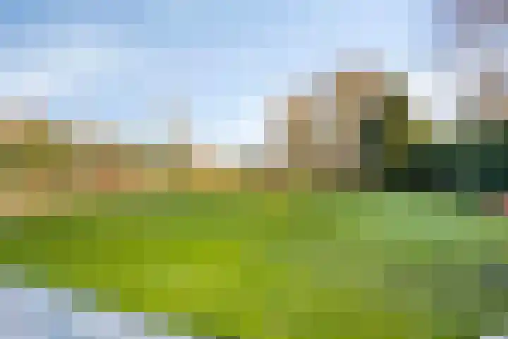 Landeweel 8 Wouw thumbnail 51