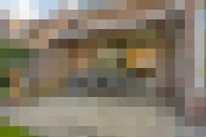Landeweel 8 Wouw thumbnail 54