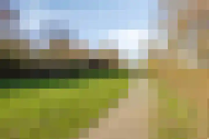 Landeweel 8 Wouw thumbnail 60