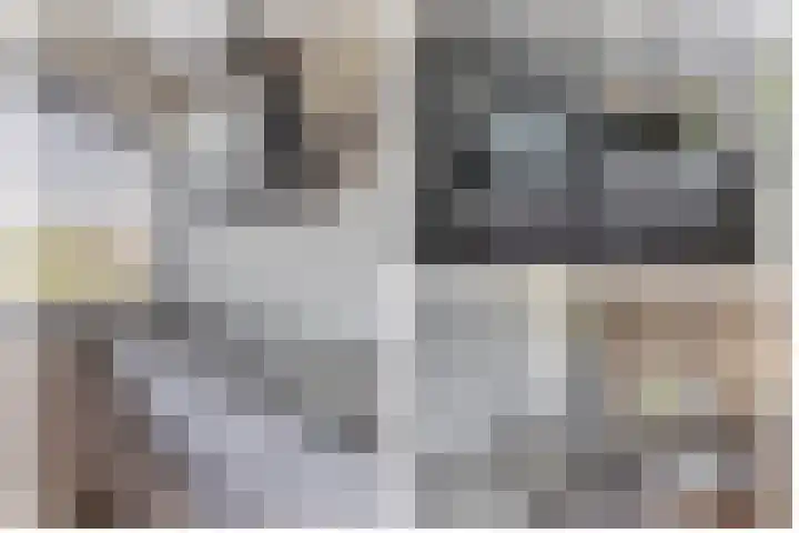 Landgraaf 14 Eindhoven thumbnail 16