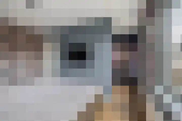 Landgraaf 14 Eindhoven thumbnail 24