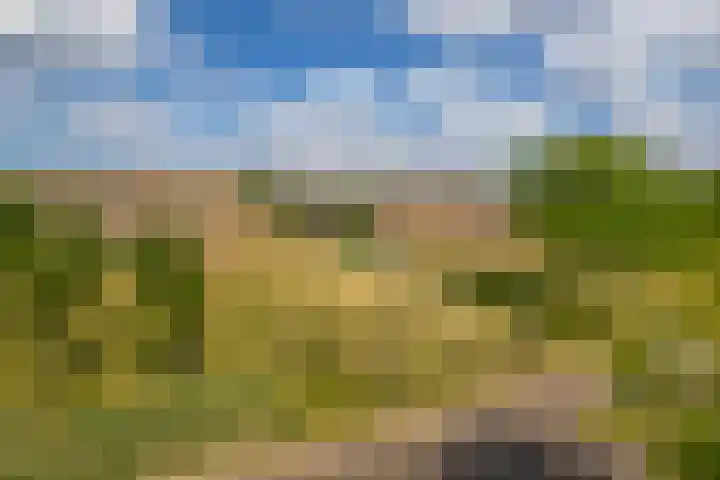 Landgraaf 14 Eindhoven thumbnail 34