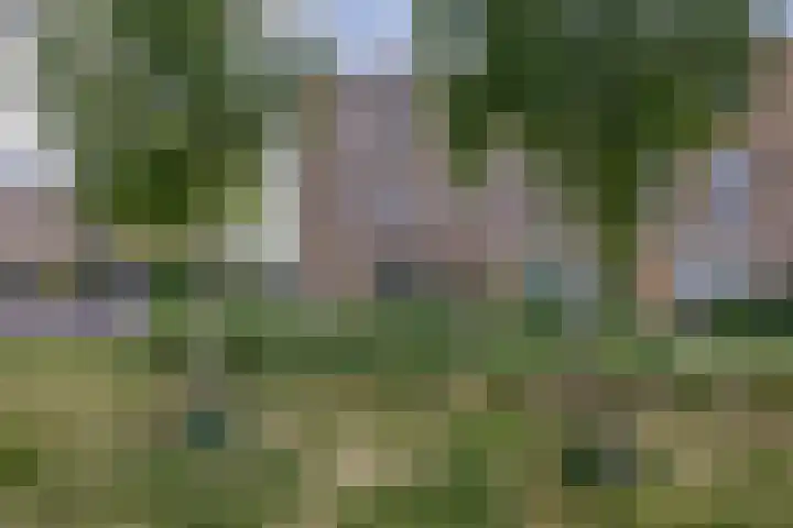 Landgraaf 14 Eindhoven thumbnail 40