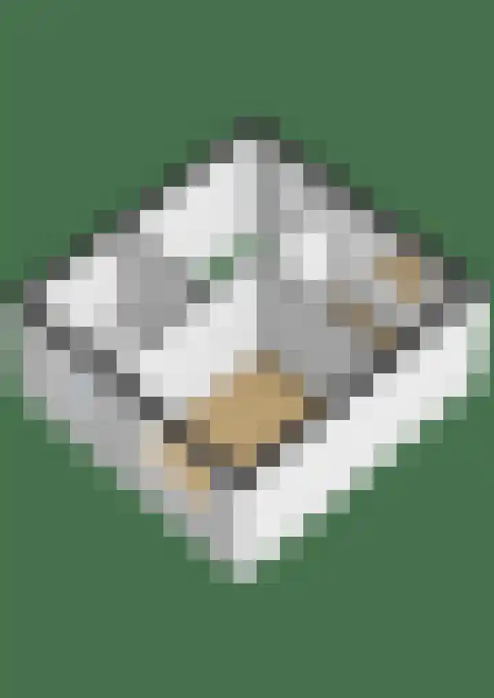 Landgraaf 14 Eindhoven thumbnail 50