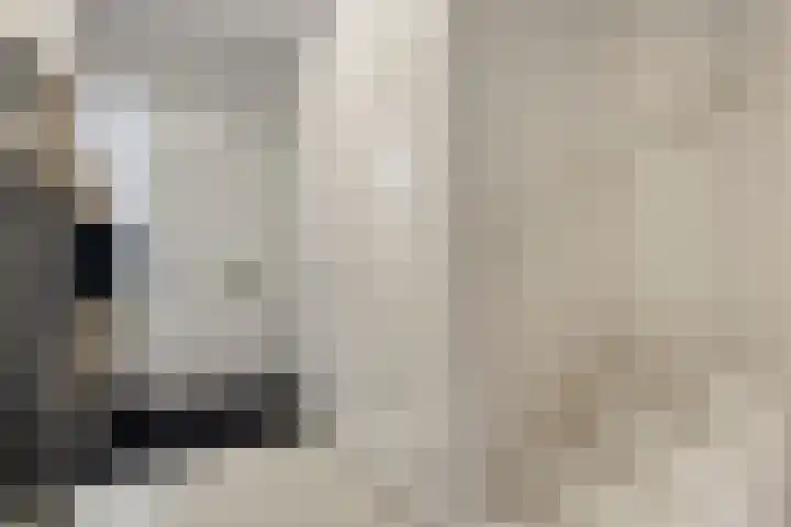 Landgraaf 61 Eindhoven thumbnail 13