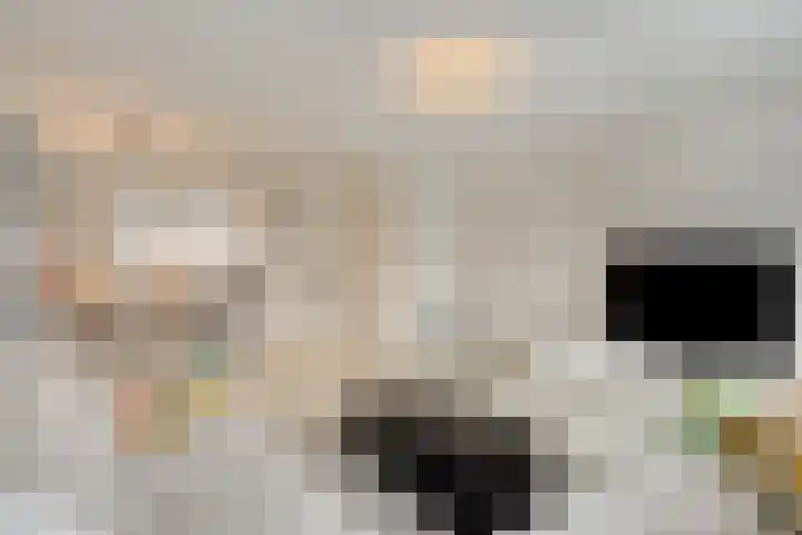 Landgraaf 61 Eindhoven thumbnail 4