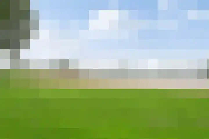 Landgraafstraat 74 Arnhem thumbnail 48