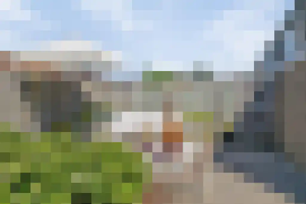 Landheining 5 Breda thumbnail 45