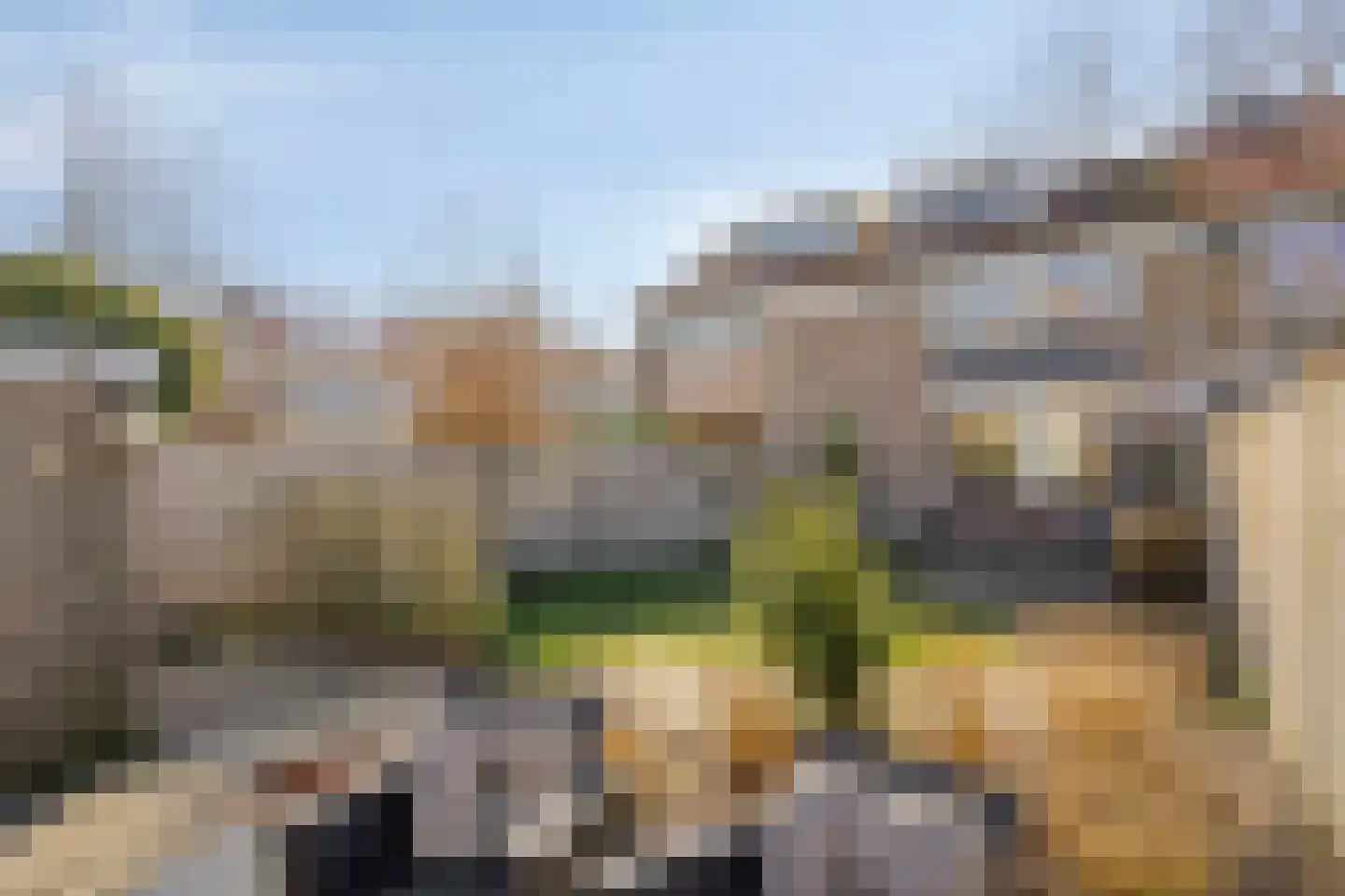 Landheining 5 Breda thumbnail 46