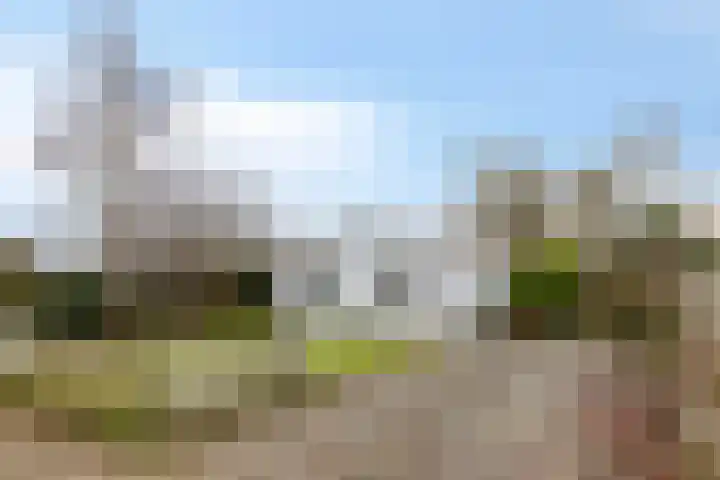 Landingsweg 25 in Baarland
