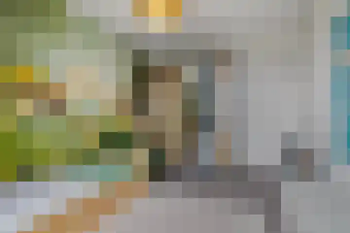 Landleven 13 Eindhoven thumbnail 16