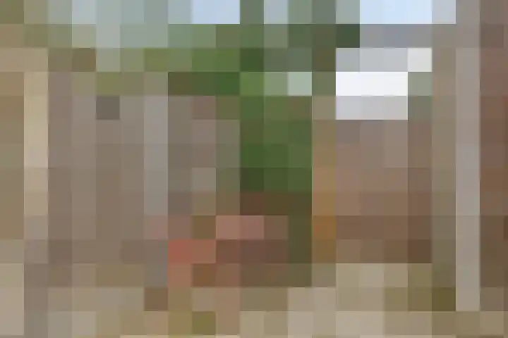 Landleven 13 Eindhoven thumbnail 33