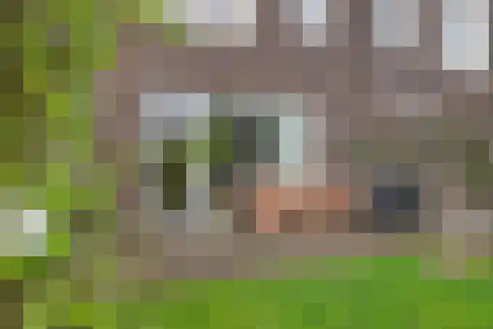 Landleven 13 Eindhoven thumbnail 34