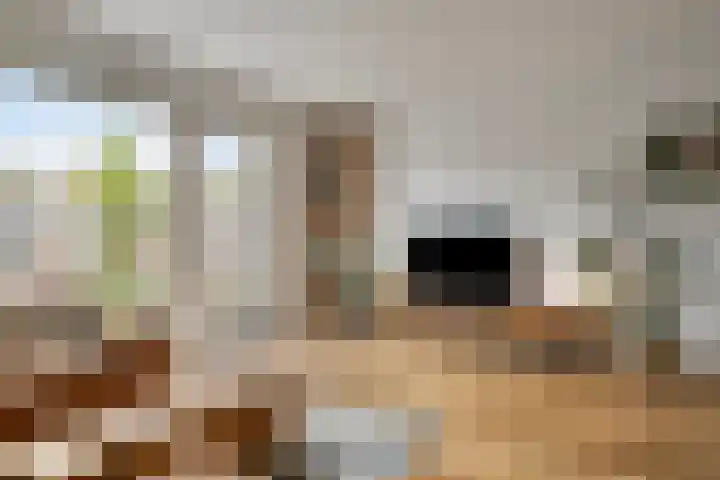 Landleven 13 Eindhoven thumbnail 6
