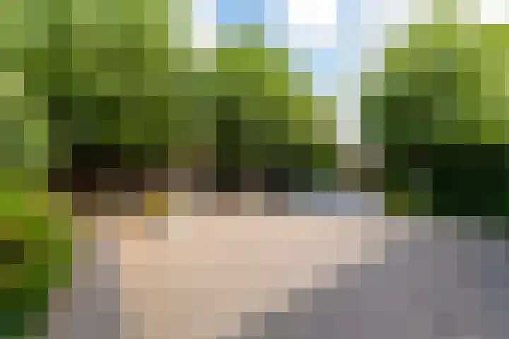 Landmeerse Loop 19 Tilburg thumbnail 49