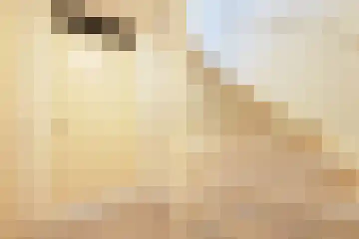 Landmeter 101 Assendelft thumbnail 12