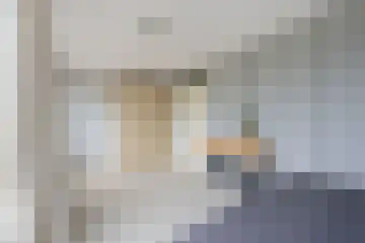 Landmeter 101 Assendelft thumbnail 14