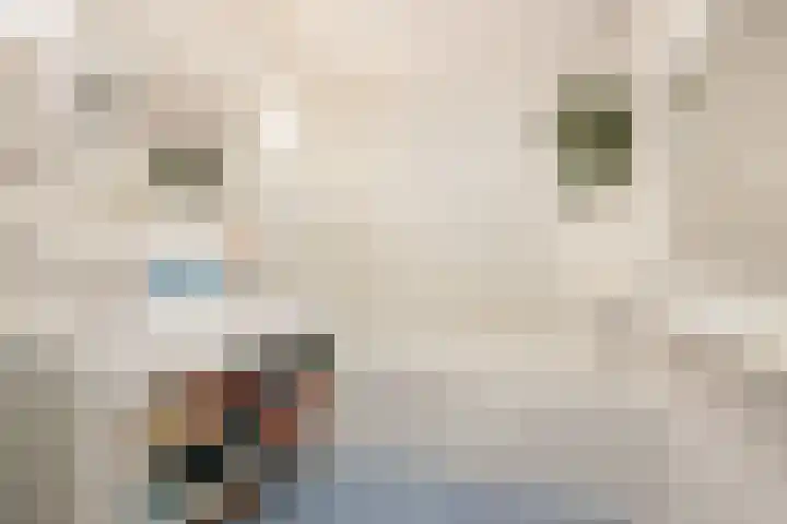 Landmeter 101 Assendelft thumbnail 17
