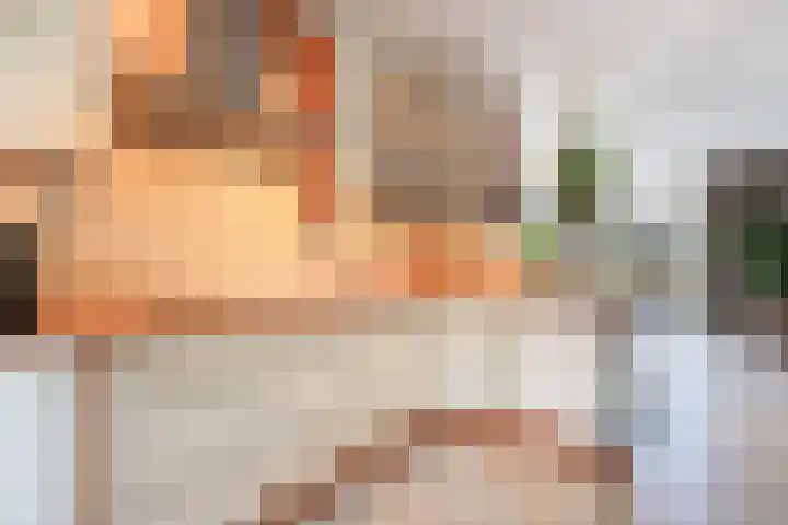 Landmeter 101 Assendelft thumbnail 6