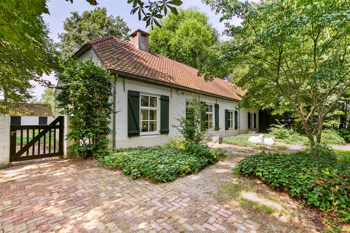 Landrop 21 in Hoogeloon foto