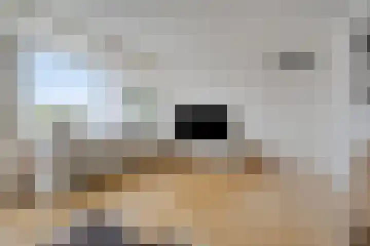 Landschaplaan 40 Emmen thumbnail 20