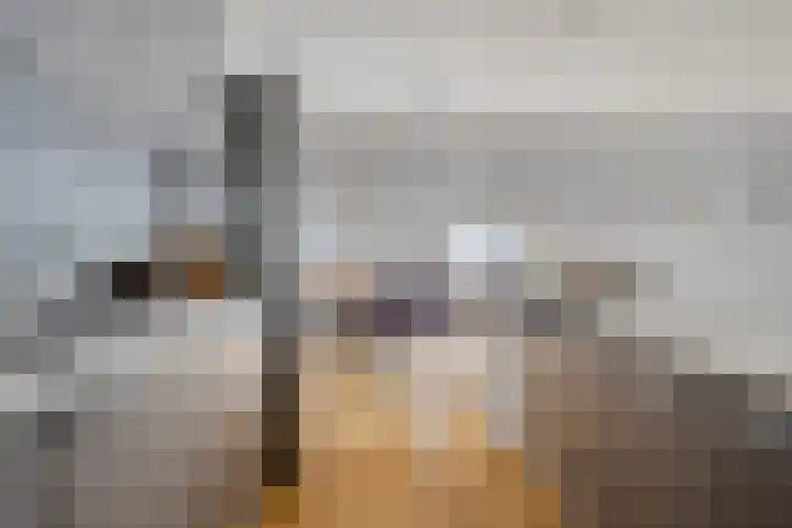 Landschaplaan 40 Emmen thumbnail 24