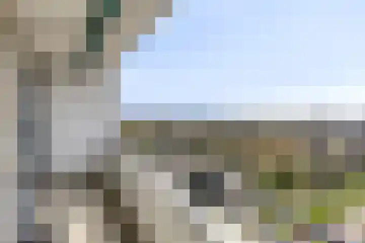 Landschaplaan 40 Emmen thumbnail 28