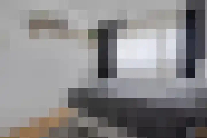 Landschaplaan 40 Emmen thumbnail 30