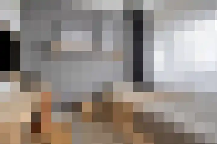 Landschaplaan 40 Emmen thumbnail 32