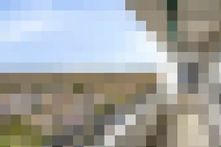 Landschaplaan 40 Emmen thumbnail 4
