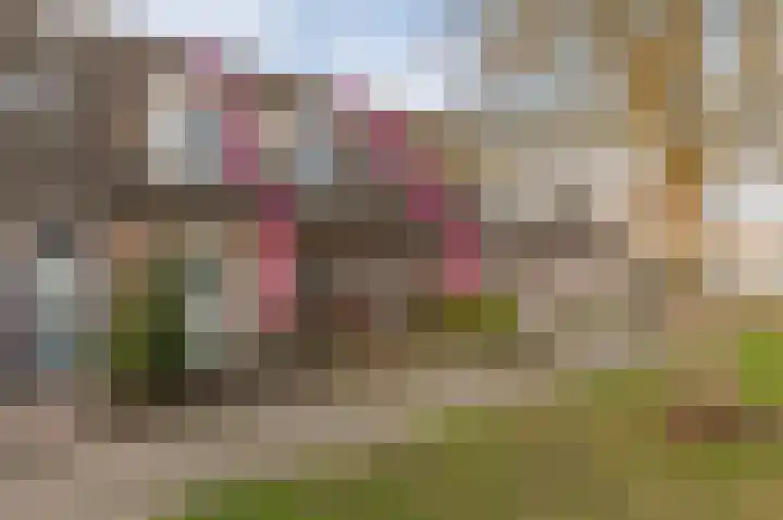 Landscheijding 19 Lopik
